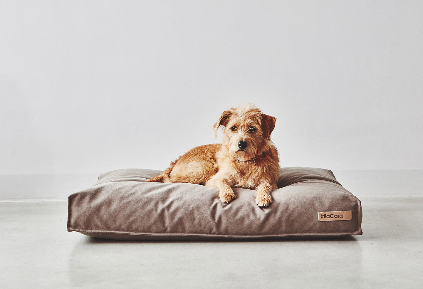 犬のためのベッド – ambrewebsite.com