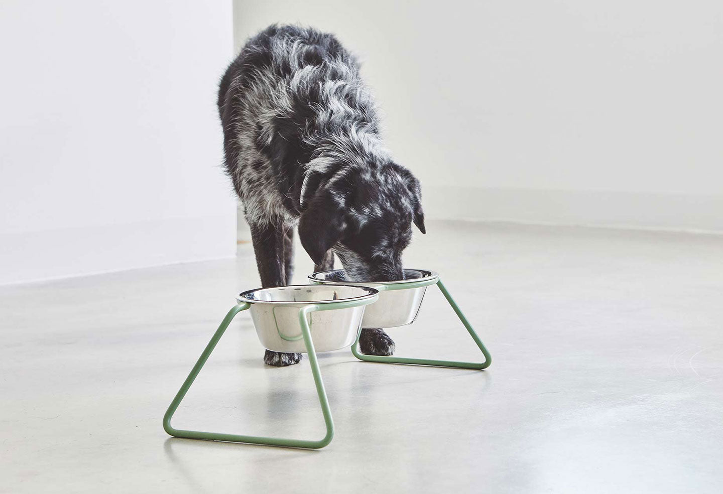 Dogフィーダー – ambrewebsite.com
