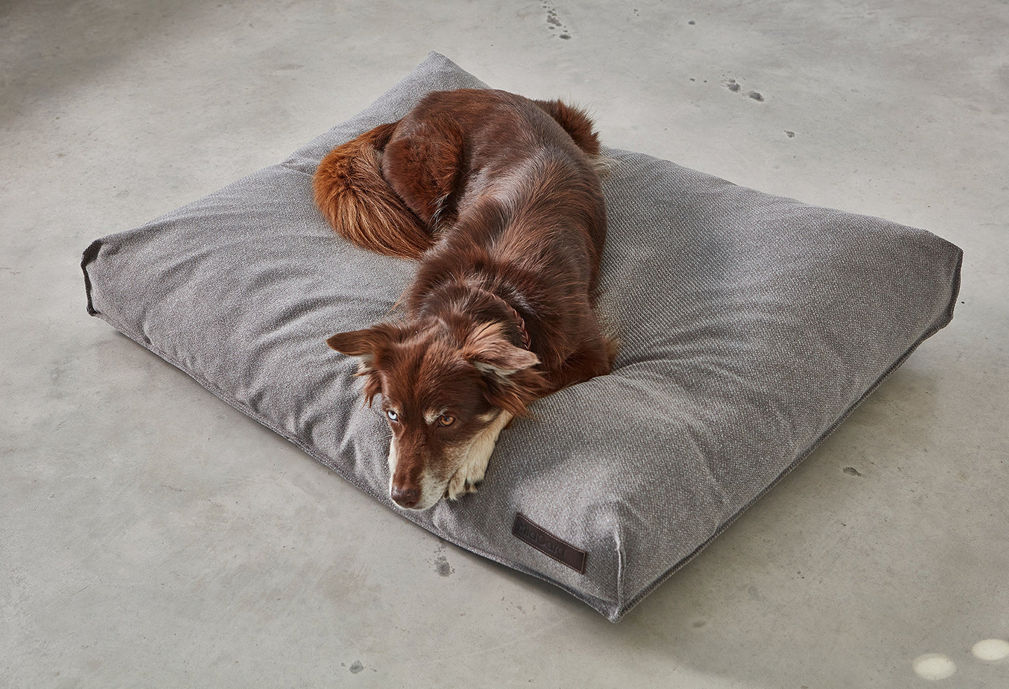 MiaCara Luce Dog Cushion