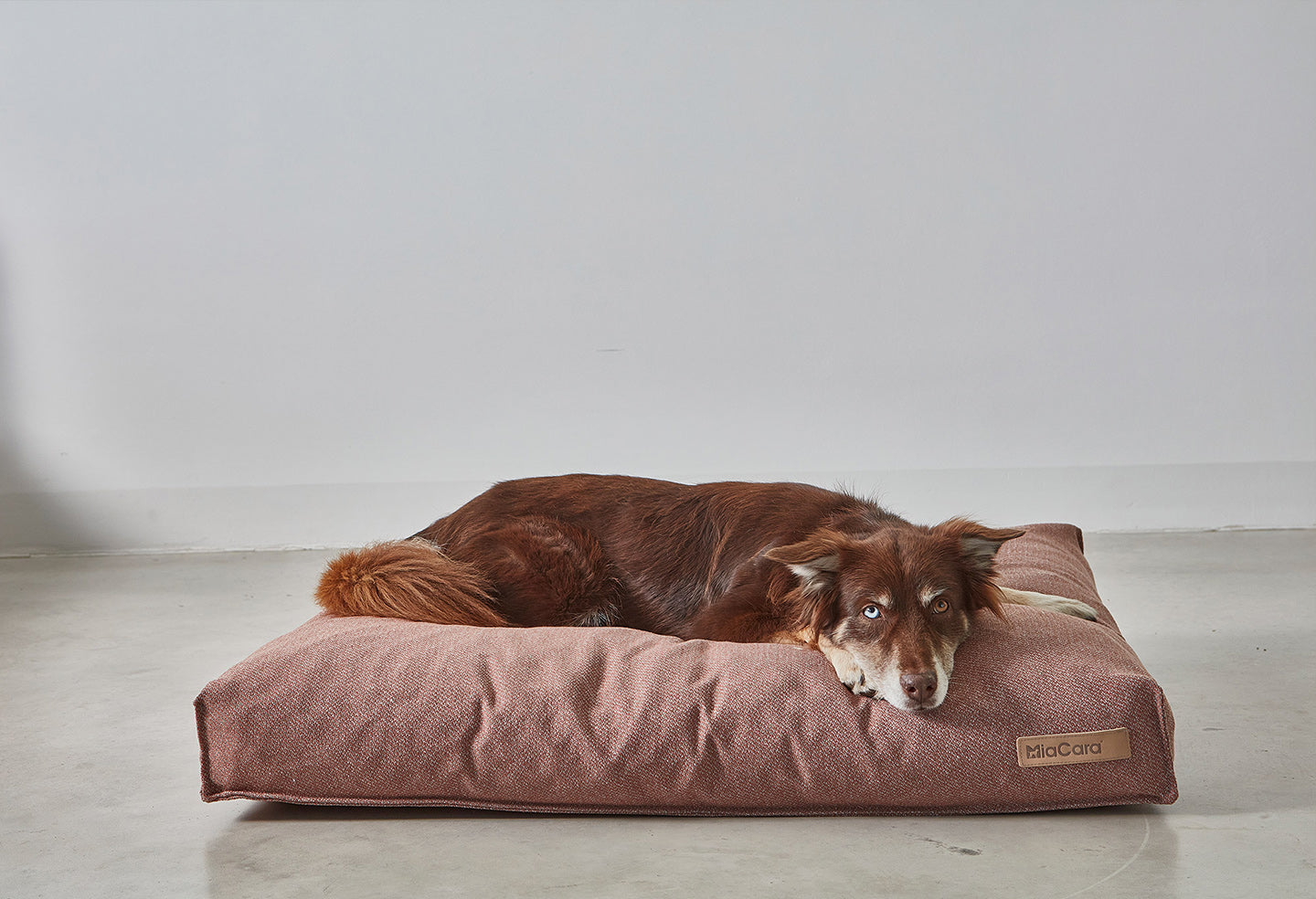MiaCara Luce Dog Cushion