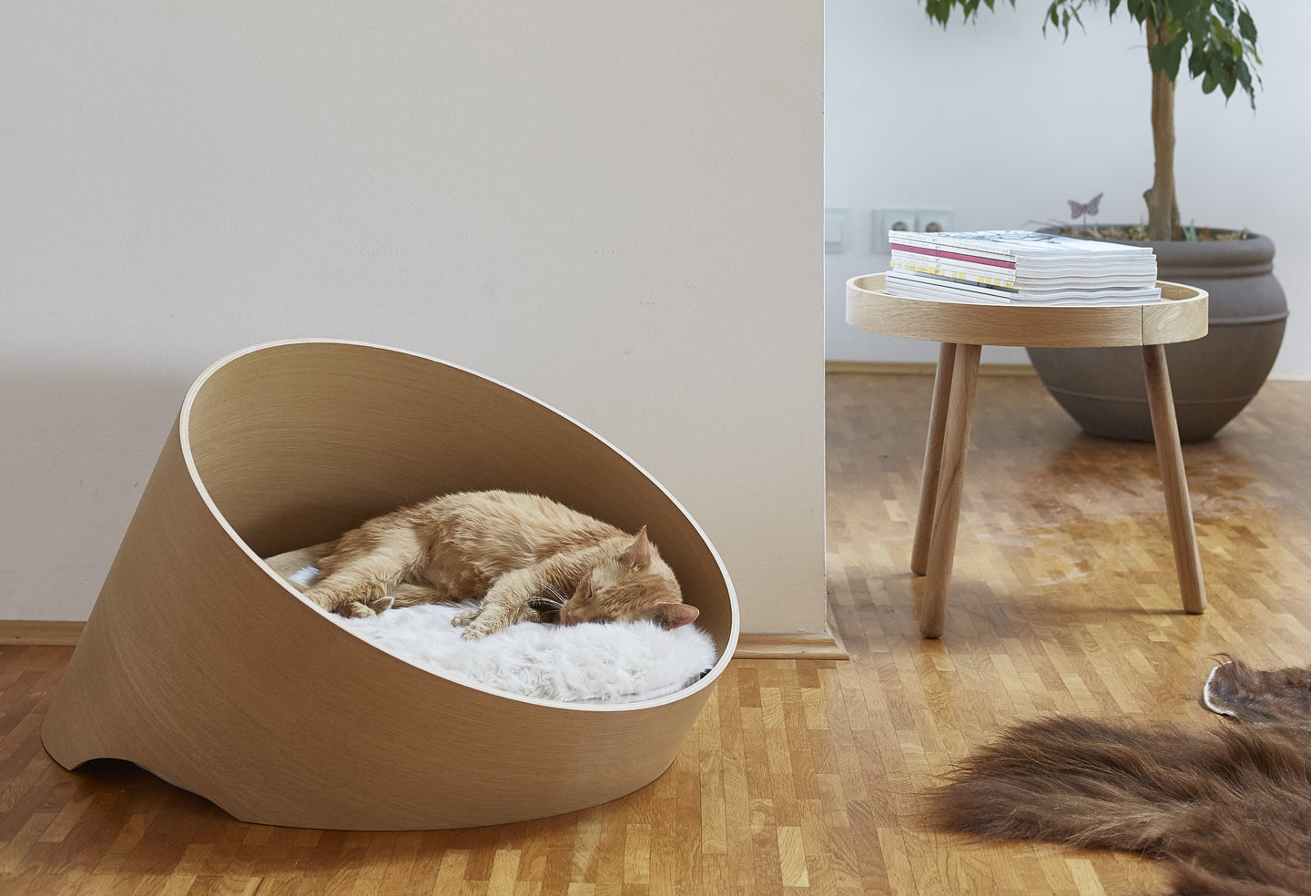 MiaCara(ミアカラ) Covo Cat Lounge