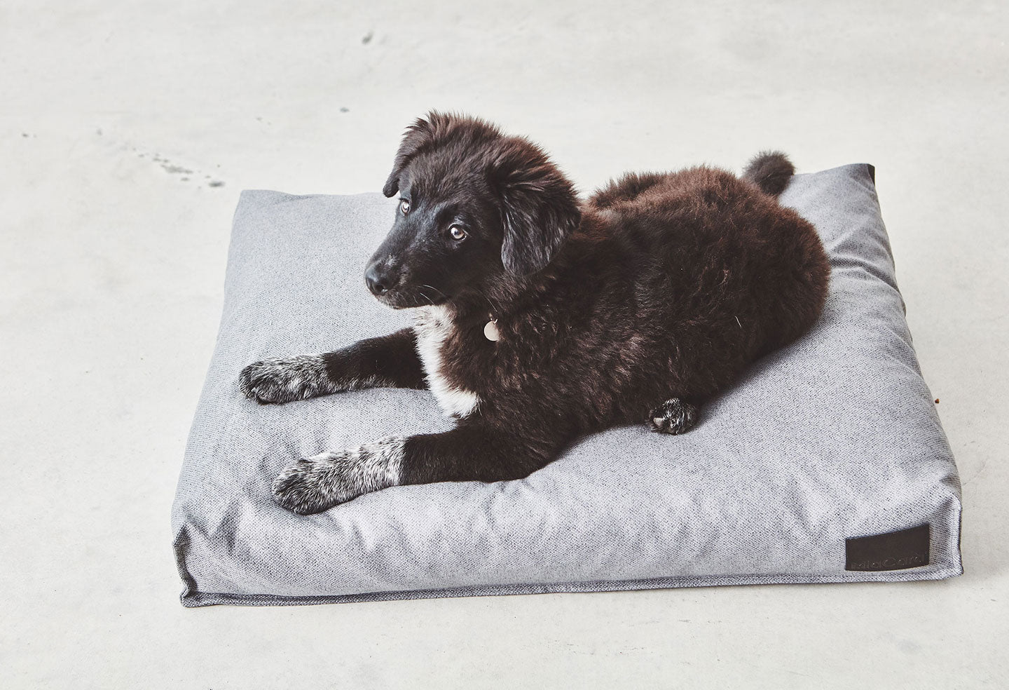 MiaCara(ミアカラ) divo cushion ベッド