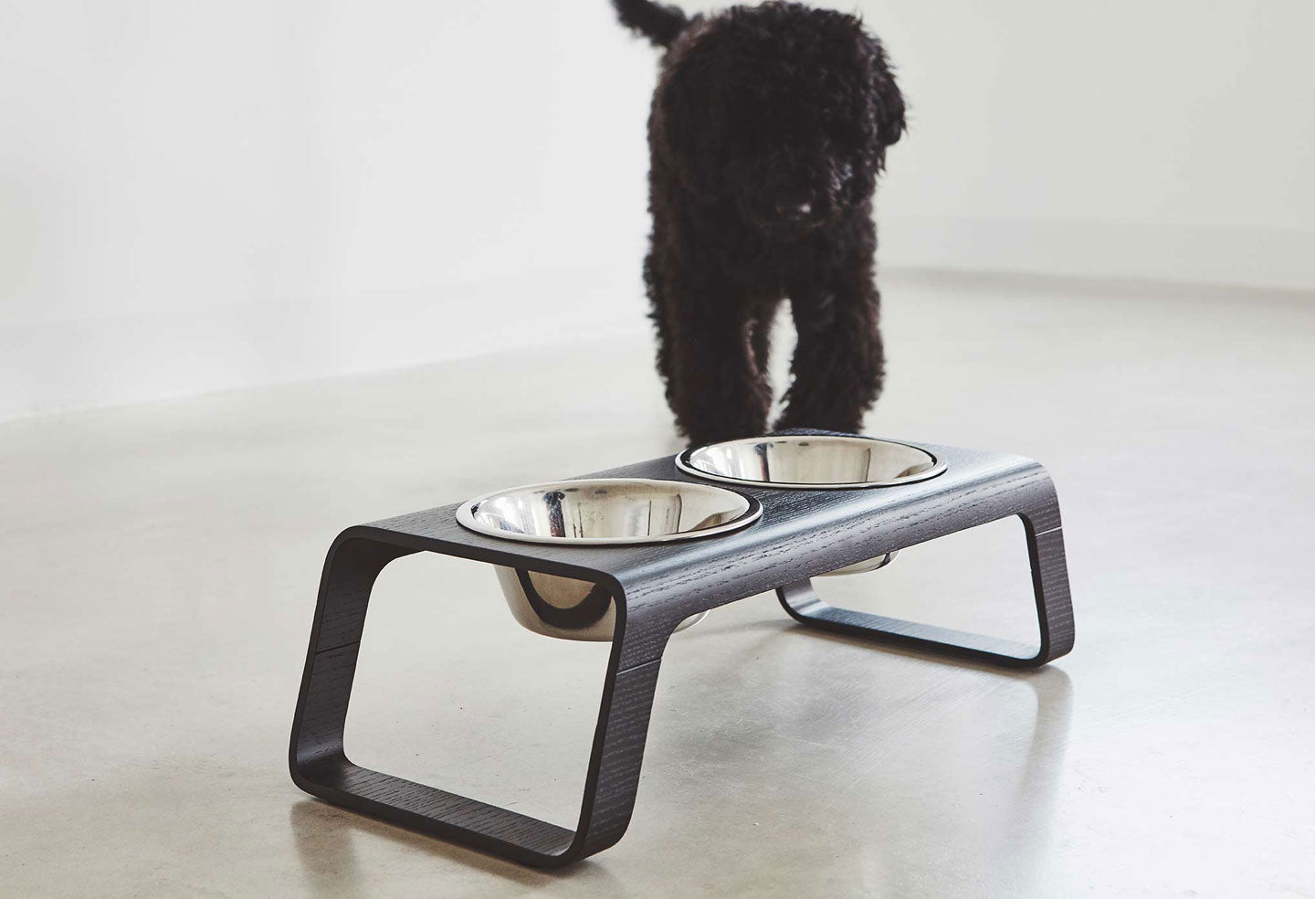 MiaCara (ミアカラ) Desco Dog Feeder