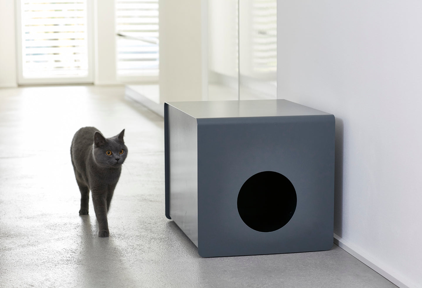 ミアカラ MiaCara sito 猫 トイレ