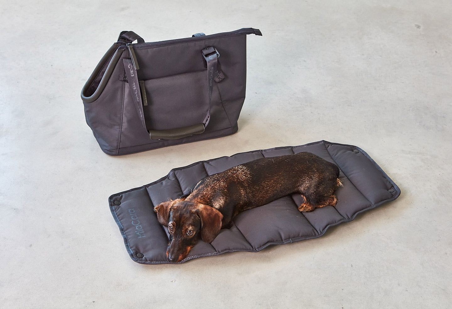 MiaCara Sporta Dog Carrier
