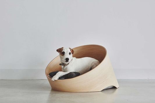 MiaCara (ミアカラ) Covo Dog Lounge