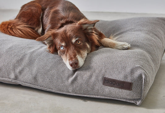 MiaCara Luce Dog Cushion