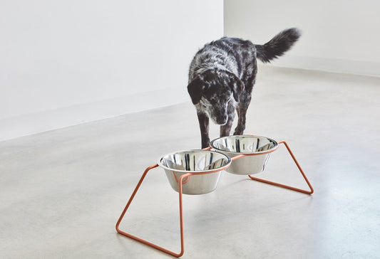 ミアカラ MiaCara cena dog おしゃれ