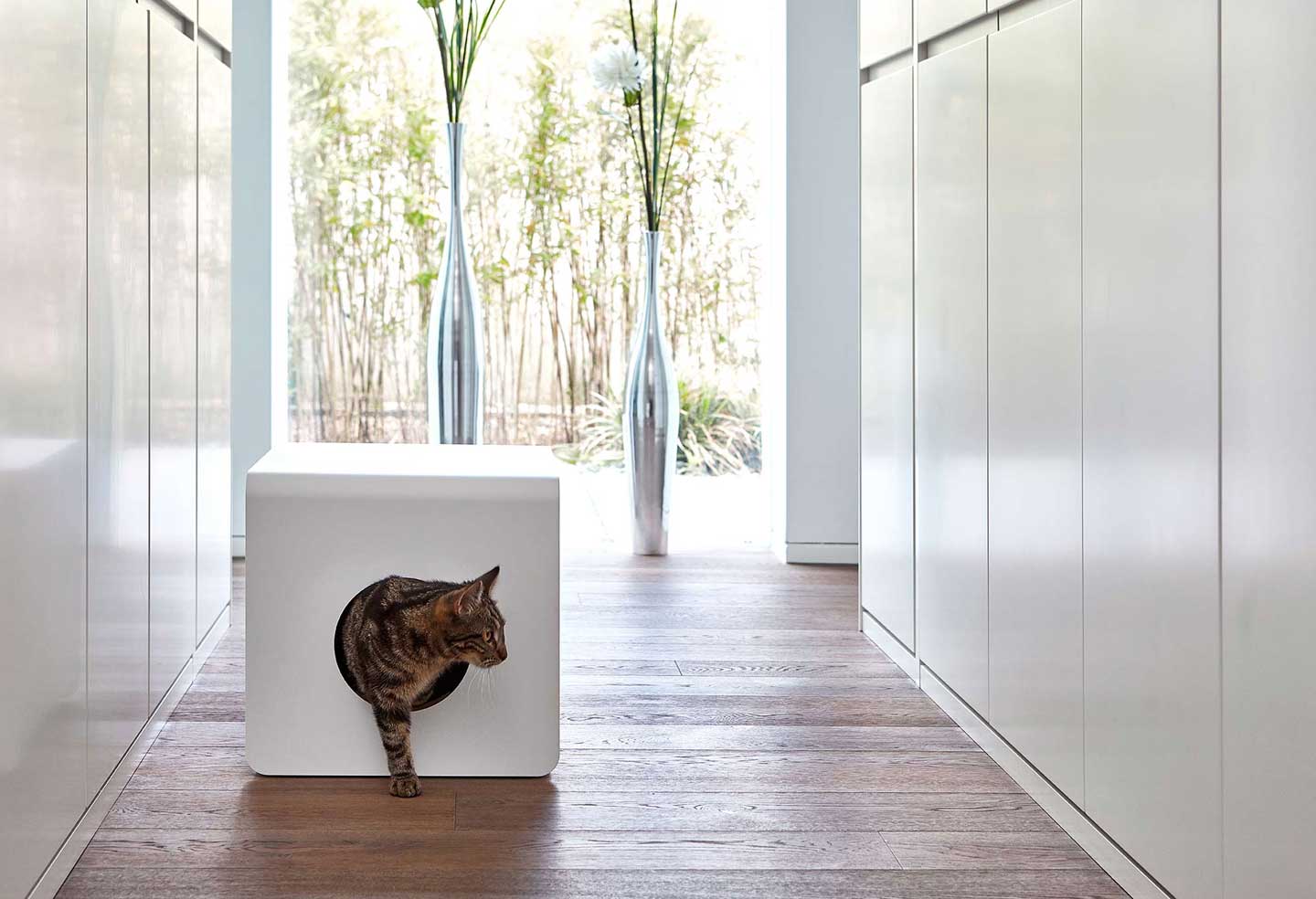 ミアカラ MiaCara sito 猫 トイレ おしゃれ