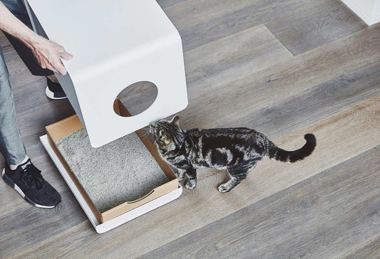 ミアカラ MiaCara sito 猫 トイレ