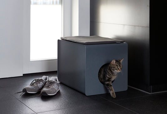 miacara (ミアカラ) Stella Seating Cushion