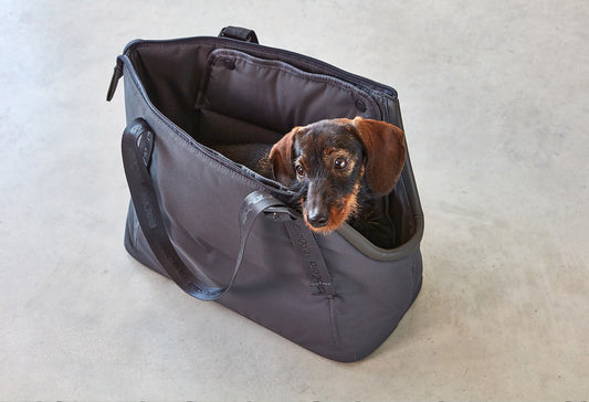 MiaCara Sporta Dog Carrier