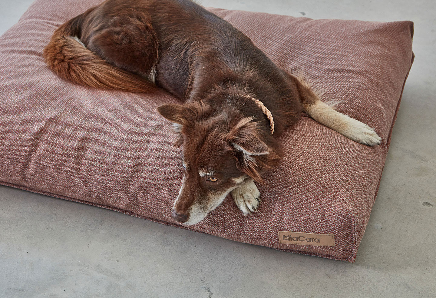 MiaCara Luce Dog Cushion